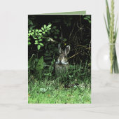 Carte Lapin de frère (Devant)