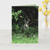 Carte Lapin de frère (Fleur jaune)