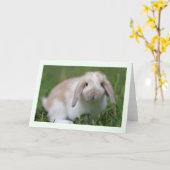 Carte Lapin de la Hollande Lop de bébé (Fleur jaune)