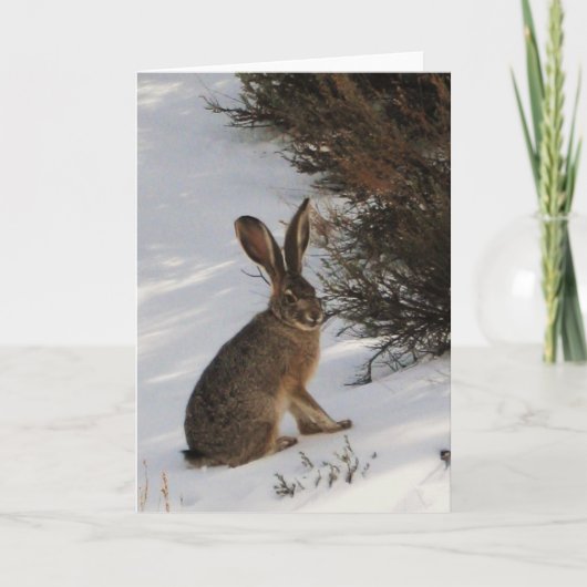 Carte Lapin De Neige (Devant)