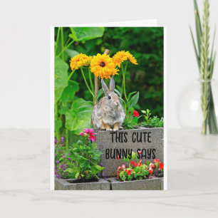 CARTE LAPIN DOUX POUR ANNIVERSAIRE **DE 16 ANS**