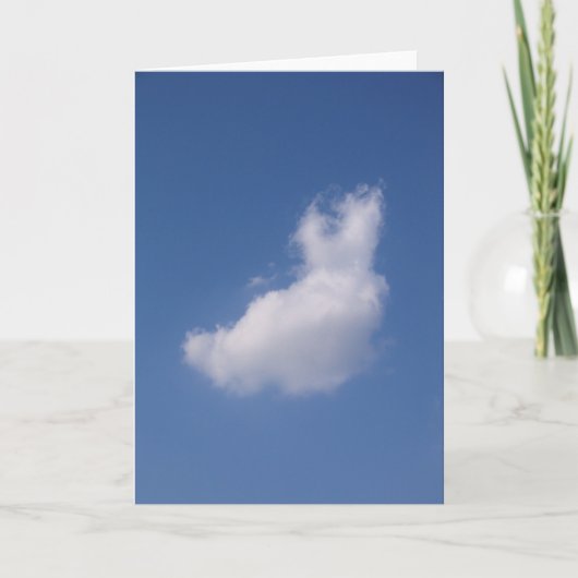 Carte Lapin flottant (Devant)