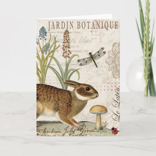 Carte lapin français vintage moderne dans le jardin (Devant)