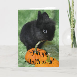 Carte Lapin heureux de Halloween