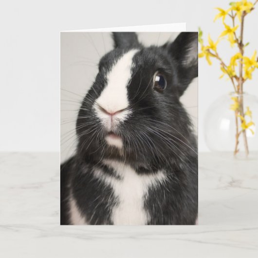 Carte Lapin lapin noir et blanc Startted (Fleur jaune)