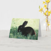 Carte Lapin noir de Lil (Fleur jaune)