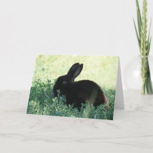 Carte Lapin noir de Lil
