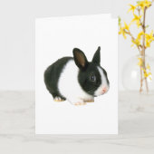 Carte Lapin noir et blanc (Fleur jaune)