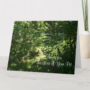 Carte Lapin - Perte d'un animal de compagnie