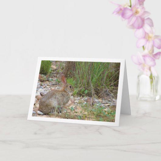 Carte Lapin sauvage en campagne (Orchidée)