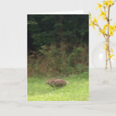 Carte Lapin sur la course (Fleur jaune)