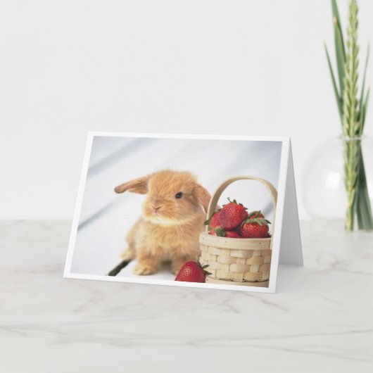 Carte Lapins et fraises (Devant)