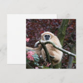 Carte Lar Gibbon, la retraite à la traîne (Devant / Derrière)