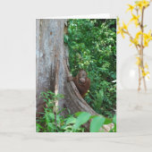 Carte L'arbre de la nature dans la forêt pluviale (Fleur jaune)