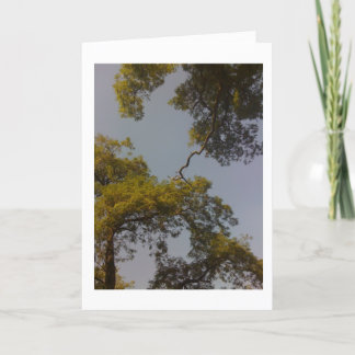 Carte L'arbre de la vie vit longtemps et prospère