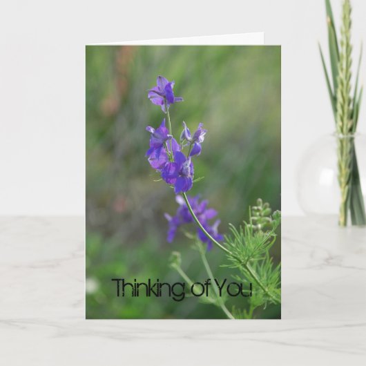 Carte Larkspur se sent mieux (Devant)