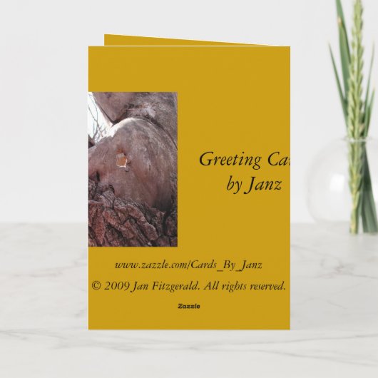 Carte Larmes en bois (Dos)