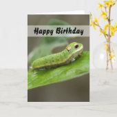 Carte Larve de Caterpillar de papillon (Fleur jaune)