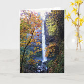 Carte Latourell Falls (Fleur jaune)