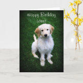 Carte Laura Joyeux Anniversaire Golden Doodle Chiot (Fleur jaune)