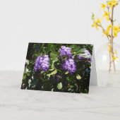 Carte Laurel de montagne à Sunlight (Fleur jaune)