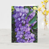 Carte Laurel de montagne violet (Fleur jaune)