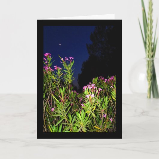 Carte Laurier rose rose la nuit (Devant)