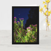 Carte Laurier rose rose la nuit (Fleur jaune)