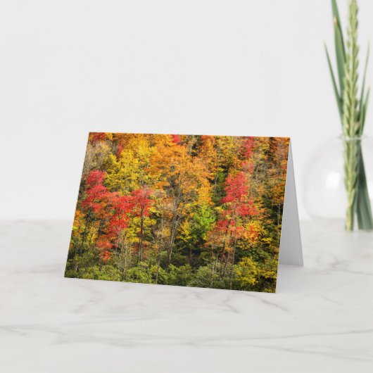 Carte L'automne à Sims Pond Caroline du Nord, Blue Ridge (Devant)