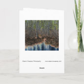 Carte "L'autre côté" Numériquement Edited Forest et Pond (Dos)