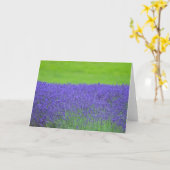 Carte Lavande (Fleur jaune)