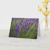 Carte Lavande | Lavendel (Fleur jaune)