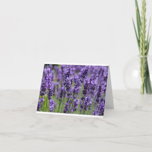 Carte Lavender (Devant)