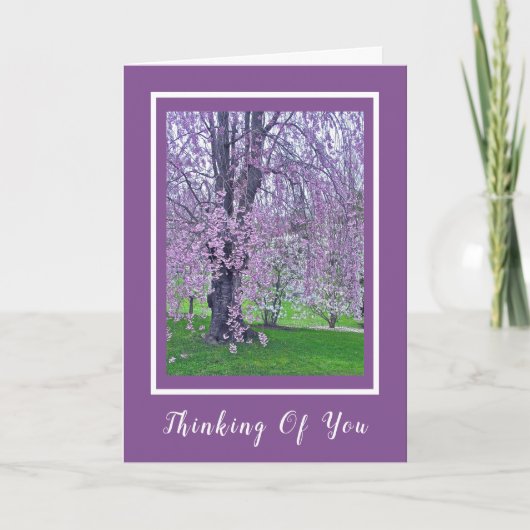 Carte LAVENDER ROSE PORTEMENT CHERRY TREE / Pensée de vo (Devant)