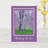 Carte LAVENDER ROSE PORTEMENT CHERRY TREE / Pensée de vo (Fleur jaune)