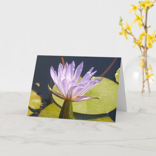 Carte Lavender Water Lily (Fleur jaune)