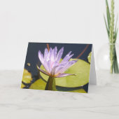 Carte Lavender Water Lily (Devant)