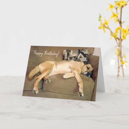 Carte Lazy Hound Dog Napping sur canapé (Fleur jaune)