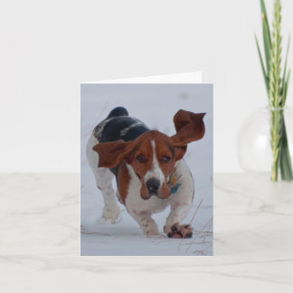 Carte Le basset jeûnent