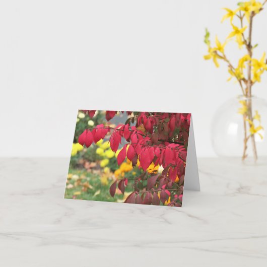 Carte Le Buisson Ardent (Fleur jaune)