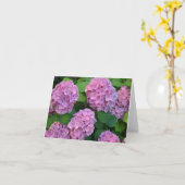 Carte Le buisson d'hortensia rose Hydrangea  (Fleur jaune)