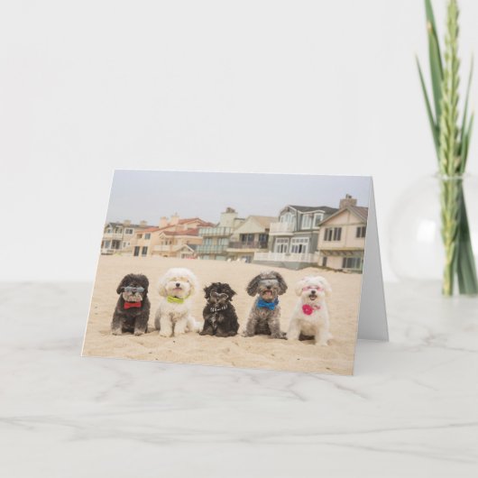 Carte Le calme sur la plage (Devant)