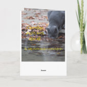 Carte Le camouflage ne marche pas après tout (Dos)