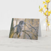 Carte Le Canada, Québec. Hibou de grand gris été perché (Fleur jaune)