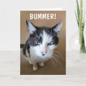 Carte Le cancer est un fléau (Devant)