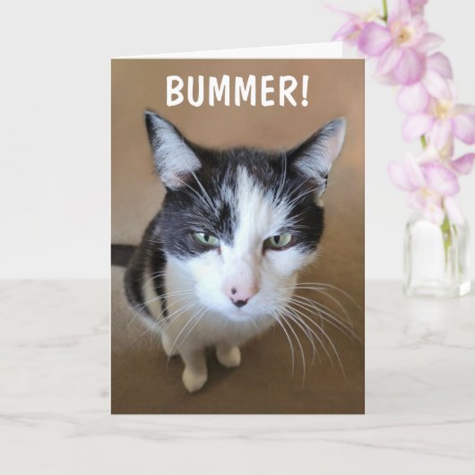 Carte Le cancer est un fléau (Orchidée)