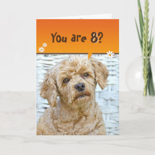 Carte Le caniche brun de 8e anniversaire en osier