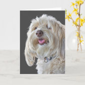 Carte Le caniche shaggy pour l'anniversaire (Fleur jaune)