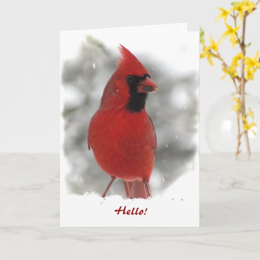 Carte Le Cardinal pense à vous (Fleur jaune)