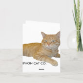CARTE LE CAT NOTENT CARD-BLANK (Dos)